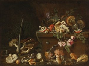 Nature morte avec champignons et fleurs - Simone del Tintore